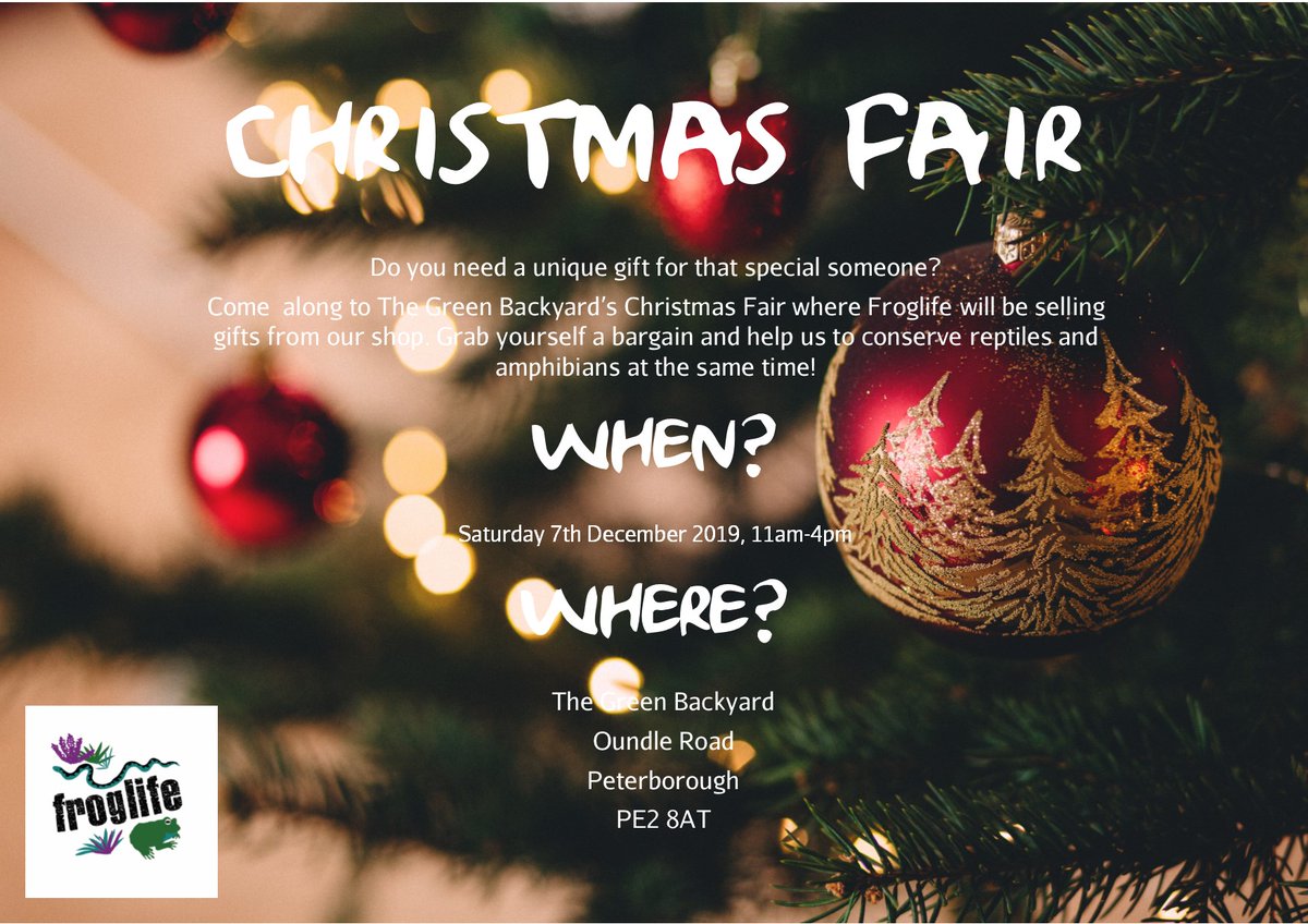 Froglife tweet media