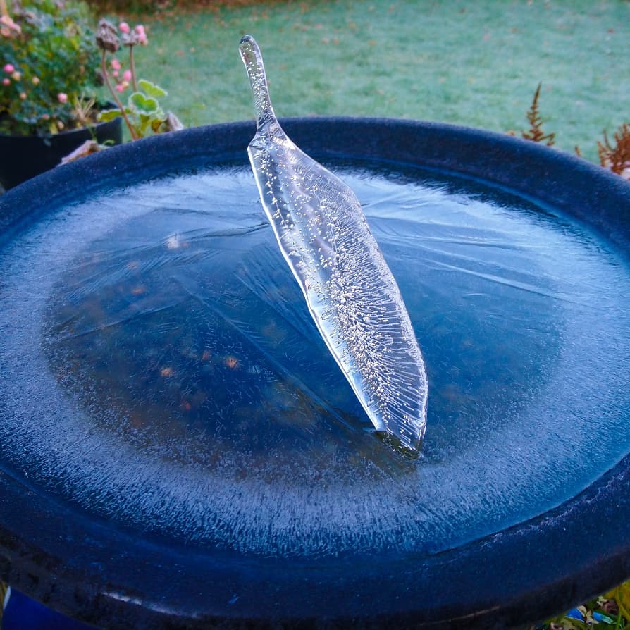 ternent_paul's tweet photo. Something has been busy overnight in our garden. #icestructure #nature https://t.co/l1YQcdt8AL