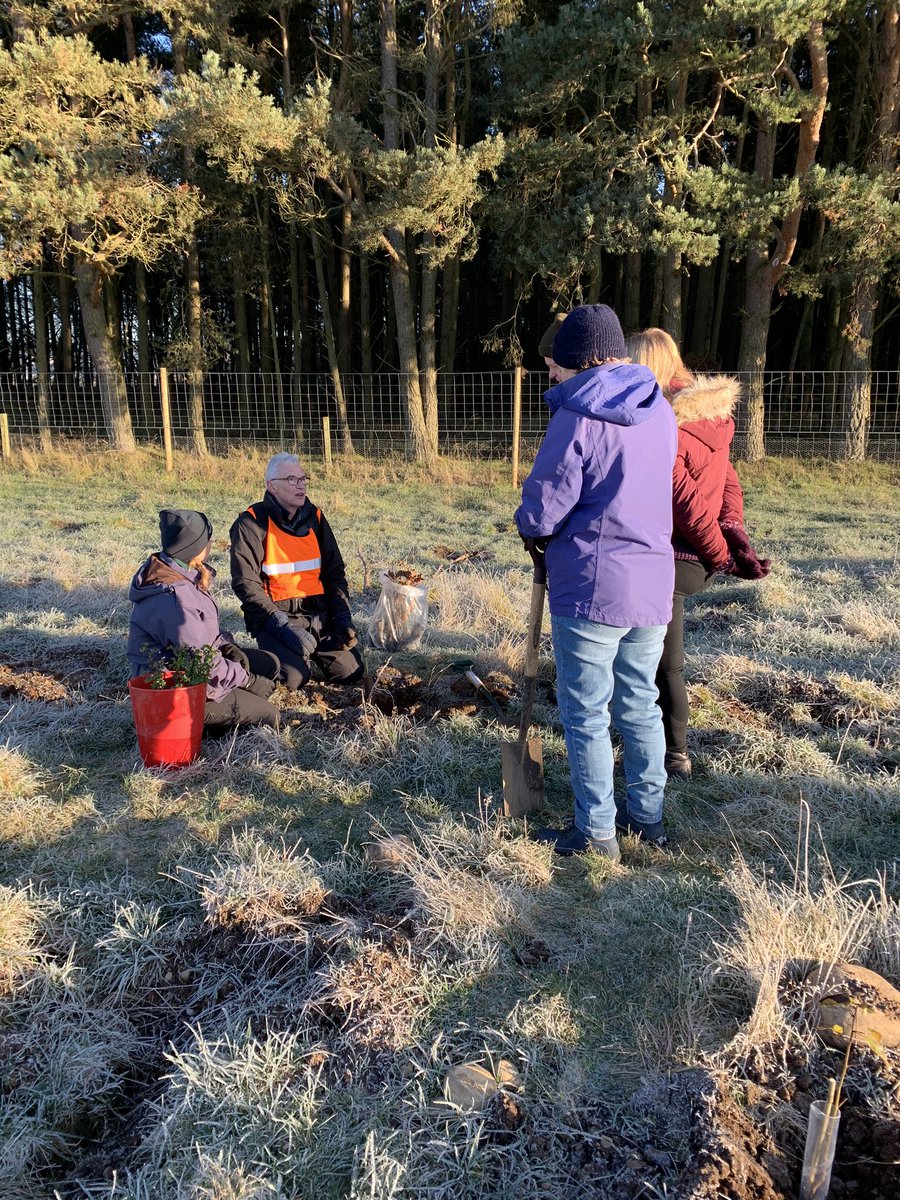 Jill_Donnachie's tweet image. It’s chilly but there’s no shortage of tree planters @WoodlandTrust #KinclavenBluebellWood! A beautiful #TreeCharter day. 3000 trees. Can we do it? #BigClimateFightback #EveryTreeCounts