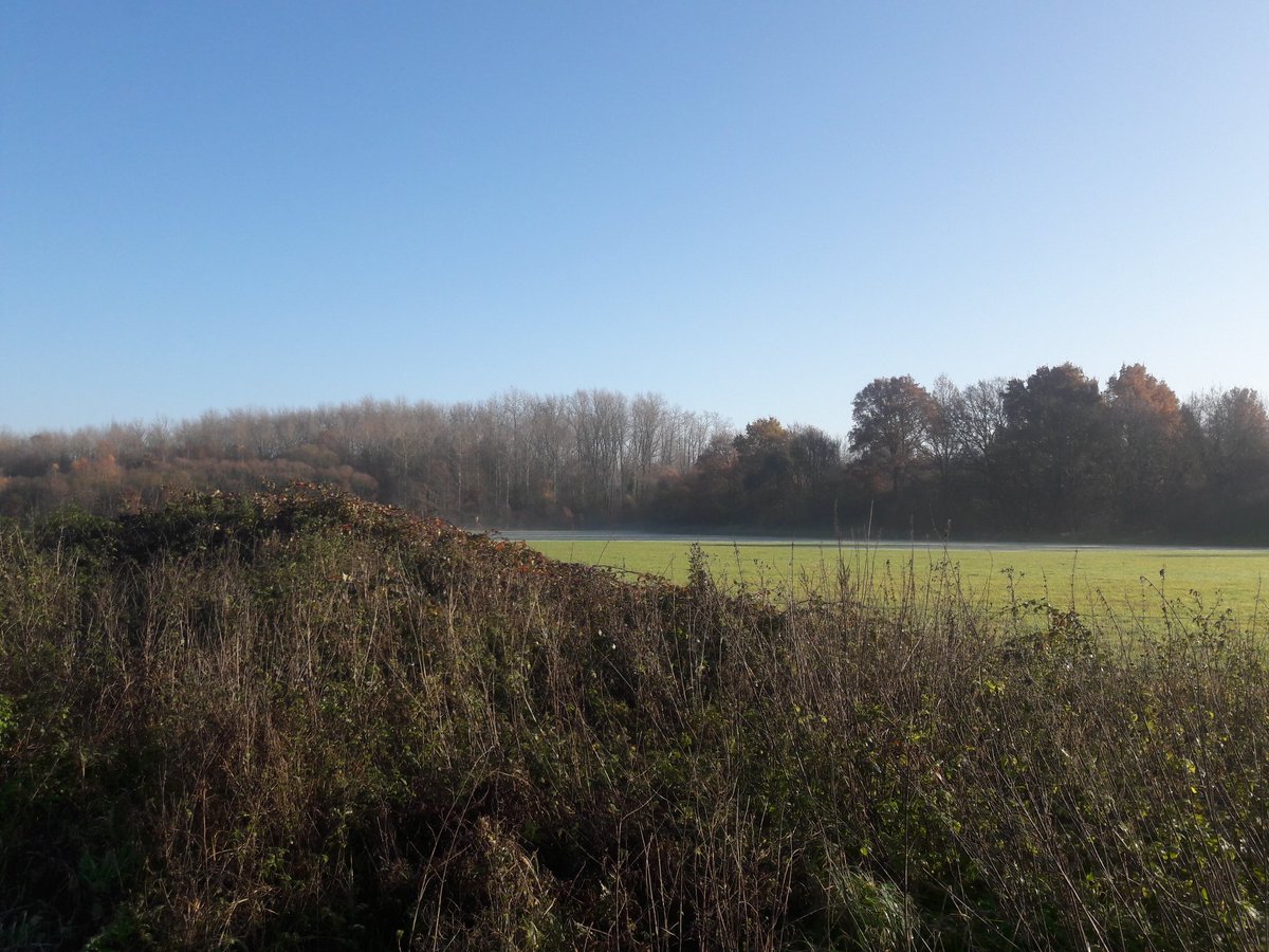 DDeheyn's tweet photo. Mooie herfstdag in het #Silsombos https://t.co/KgGcC0vVVD