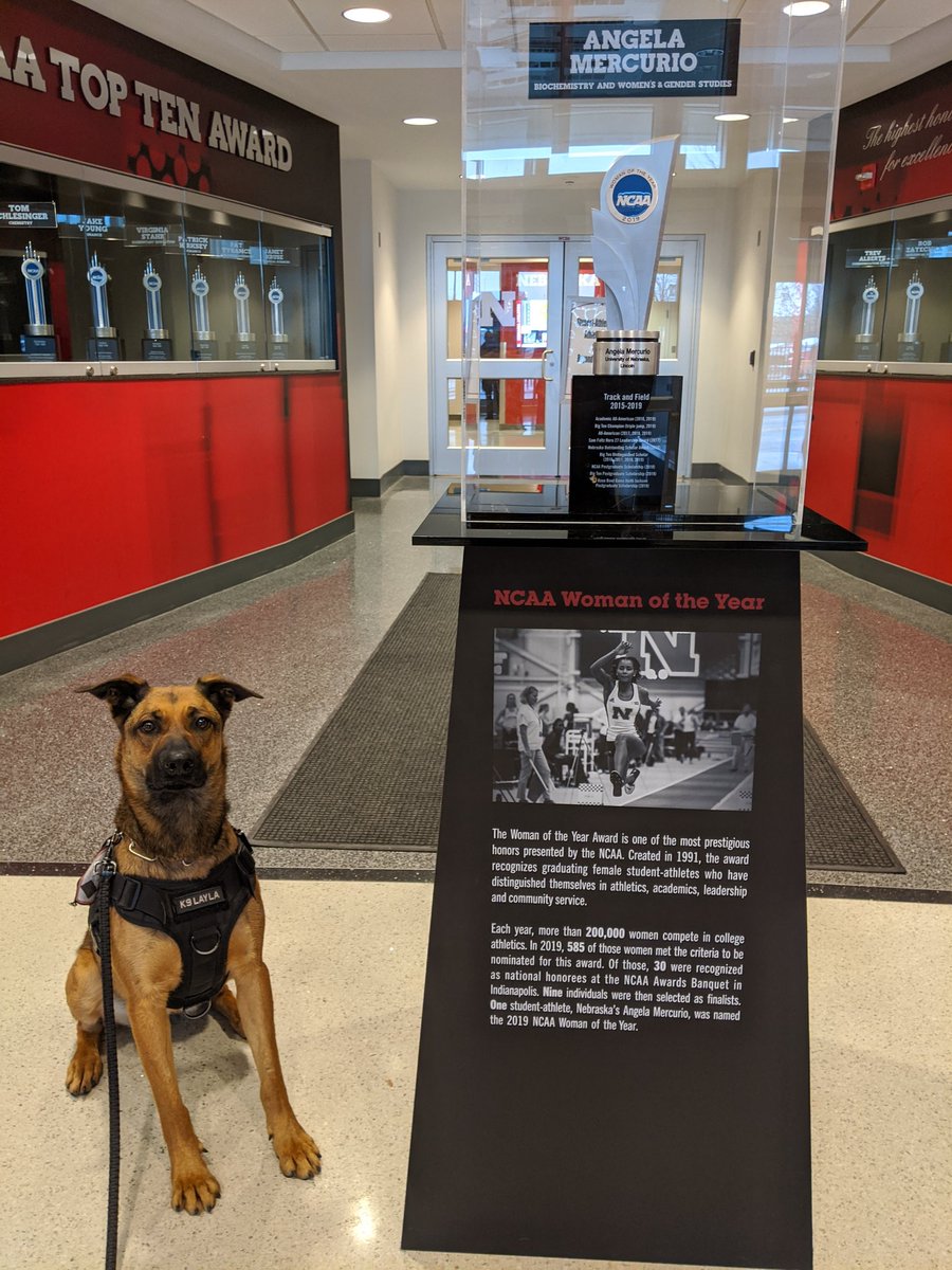 K-9 Layla (@k9_layla) on Twitter photo 