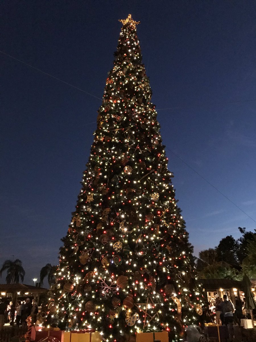 TimSamsTravelUS's tweet photo. Merry Christmas from #AnimalKingdom @WDWGuestService make sure you spend two days at #Disneyanimalkingdom    I always use the #Disneyfastpass https://t.co/Cu9Nf5uG8T