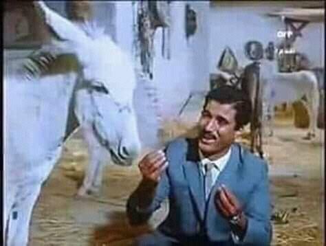 يا ولدنا الممتلكات دي حقت البلد