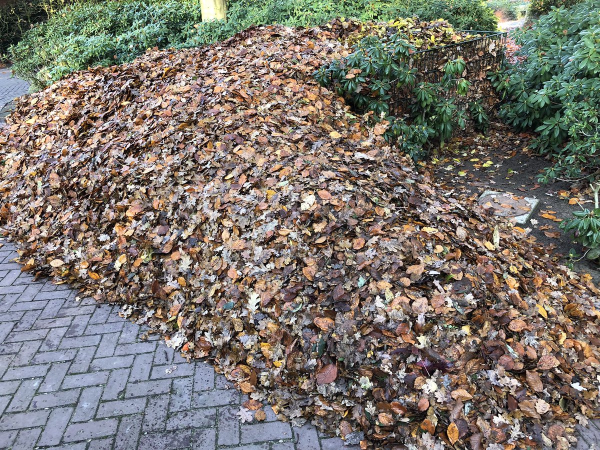 Ronny Booijink tweet media