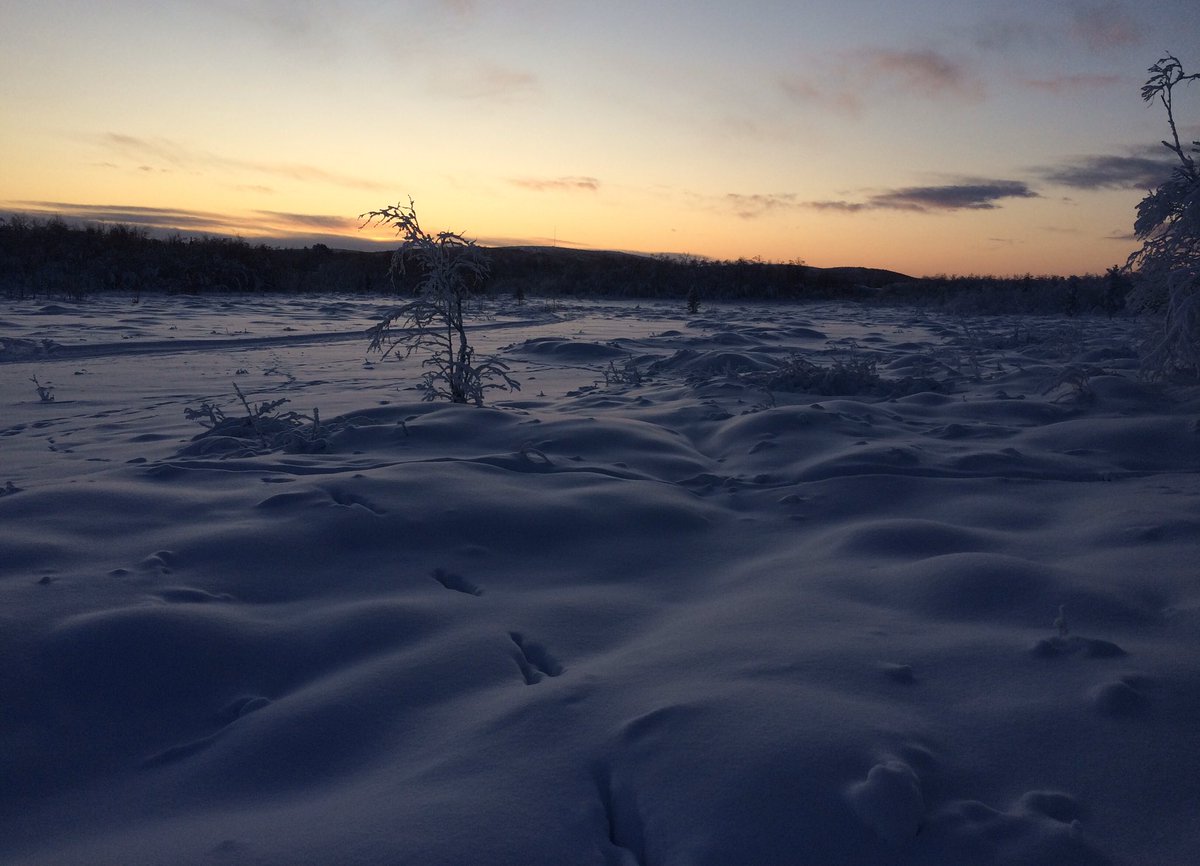 365offgrid's tweet image. My story book. Every day different story to tell.  
#offgrid
#bugout 
#adventure 
#tactical 
#edc 
#mountains 
#survival 
#warrior 
#viking
#frontier 
#wilderness 
#outdoors 
#hunting 
#climber 
#skier
#mountainman 
#life 
#freedom 
#love
#fighter
#professional
#nomad
#bushcraft