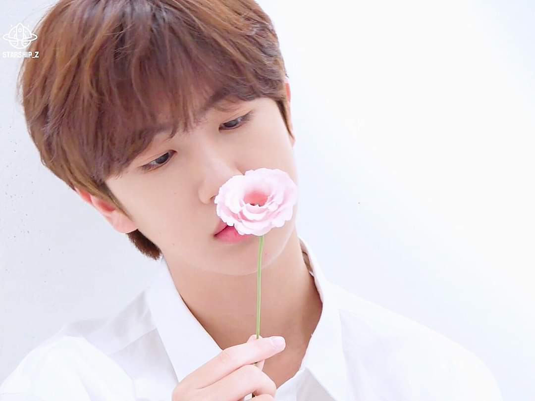 Starshipz_VN's tweet photo. Xu comeback!!!
Chị đã bảo sẽ mãi bên mấy đứa mà, dăm ba chuyện không đánh ngã được chị❤ Hôm nay tụi em thật đáng eo🌻🍁 Nhớ giữ ấm cơ thể nhé!
-------------
#StarshipZ
#LittleStar⭐ https://t.co/BWXO5yIvEO