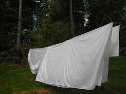 MRRyan37's tweet image. What’s the chances of getting 1 of these today? #QPR 💙 #MakingAmends #Reparation #WeGoAgain 💪🏼 #DERQPR Forget Black Friday! It’s............... #CleanSheetSaturday