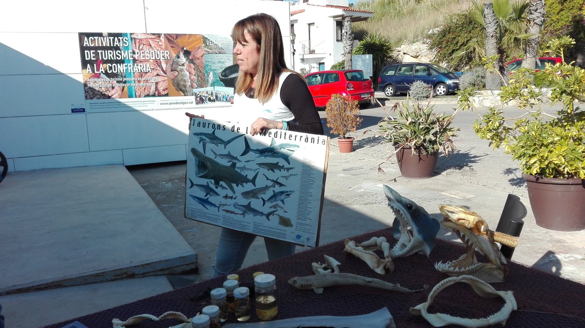 marc_esteve's tweet photo. A les jornades enogastronòmiques de @laLlotjaDO + 
La Llotja 2019 #lallotjadoterraimar #sitgesanytime

Desde @elpeixalplat els taurons del #mediterrani si hi ha Taurons hi ha menjar = hi ha biodiversitat marina #peix_de_sitges #Sitges #Garraf https://t.co/POMKZaQz9I