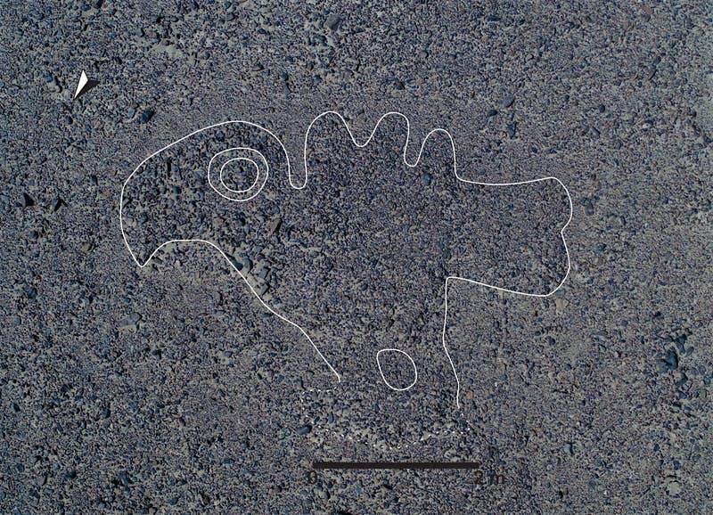 lonelyplanet's tweet photo. 143 new Nazca Lines discovered in Peru – https://t.co/qAYqI6Tz02 https://t.co/QMwWmTugSh