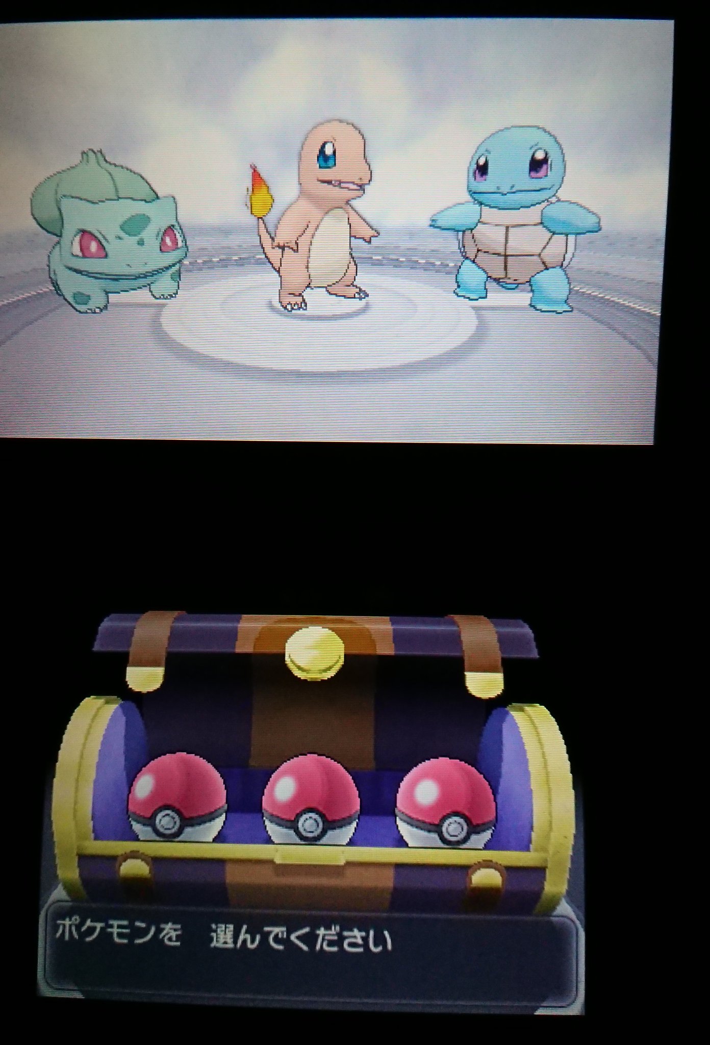 刹那 泡沫夢幻 ポケットモンスターy カロス御三家ポケモン カントー御三家ポケモン ヒトカゲ ゼニガメ フシギダネ メガ進化 ポケモン剣盾 ポケモン剣盾対抗 ハリマロン フォッコ ケロマツ T Co 6u6n1hd2xo Twitter