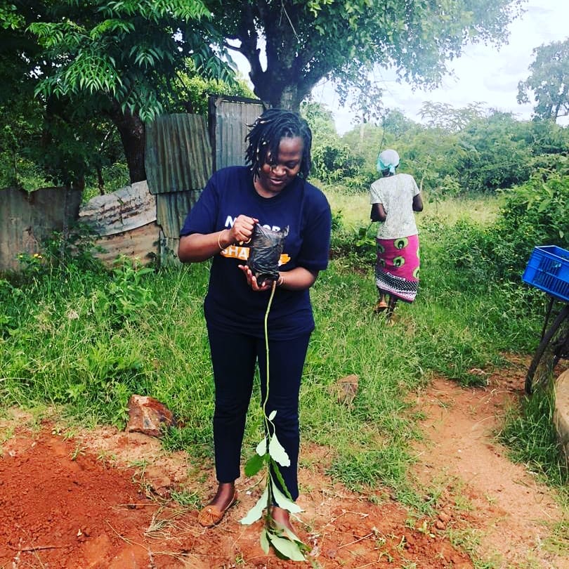 Such a beautiful day #PlantingMyAge in Yatta, Machakos County! I belong to an incredible community! @GShapersNairobi are committed to #GreeningKenya #FeedingKenya and helping achieve our desired 10% #ForestCover @GlobalShapers #ClimateAction #COP25Madrid