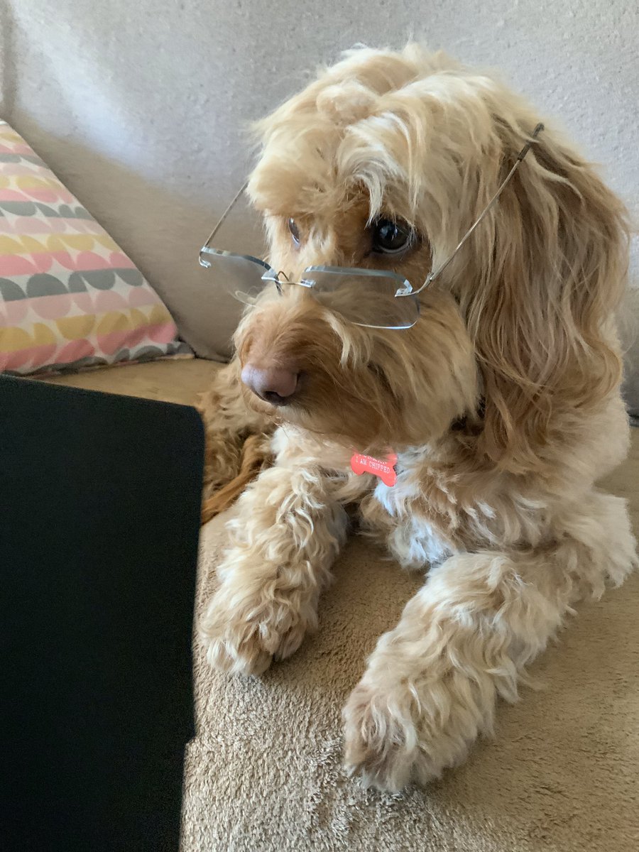 2212df's tweet photo. @CuteEmergency Or this one ha xx https://t.co/me4M0zLDeO
