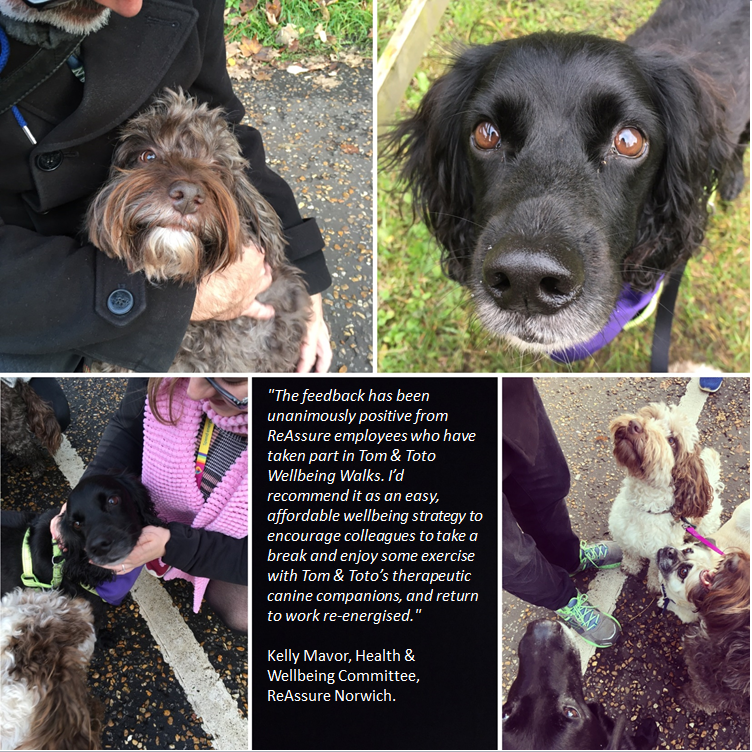 Tomandtoto's tweet photo. #pawsforwellbeing #wellbeingwalks #wellbeingatwork #dogs https://t.co/POSvYN3zRl