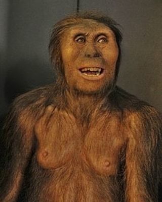 Arqueo_Megabyte's tweet photo. Se cumplen 45 años del descubrimiento de la hominido más antigua del mundo, entre 3,2 y 3,5 millones de años. Se llama Australopithecus Afarensis, conocida por los amigxs como Lucy.
.
#arqueologia #historia #prehistoria #australopithecus #lucy #archeology #history https://t.co/8jfSDe4xee
