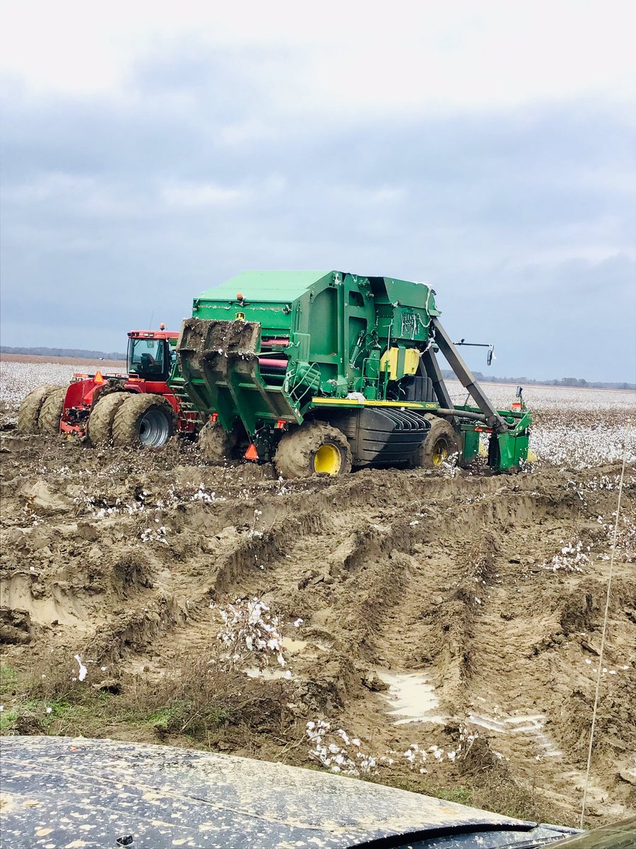 Michael Hancock (Smiley) tweet media