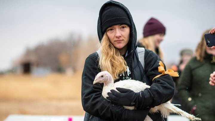 DxEverywhere's tweet photo. Everyone, human & nonhuman, deserves to be safe, happy, & free. With your help, we are getting closer to making animal liberation happen. #TransformThanksgiving
Sponsor or adopt a turkey at
https://t.co/tq0bEEZMzo https://t.co/3qpuSHrGRR