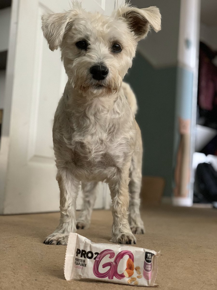 Nikki Meyer🌵🌸☀️🍹 tweet media