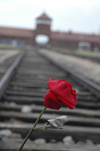 On Sept 7 1943 she and her family were transported east. From the train she tossed a card with the words, “we have left the camp singing.” Etty could not stop the Holocaust. But she left behind a witness to a force more powerful than death.