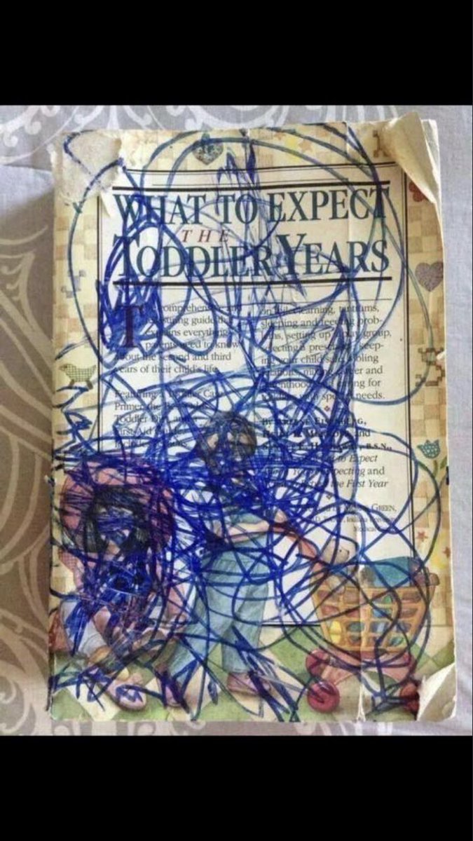 SNUG in Devon tweet media