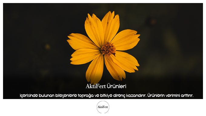 AktiFert Gübreleri 🍀
AktiFert Fertilizers 🍀

#agriculture #farming