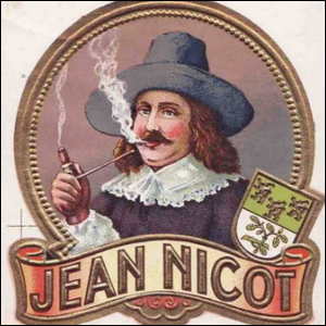 jean nicot tobacco Jean Nicot | National Museum