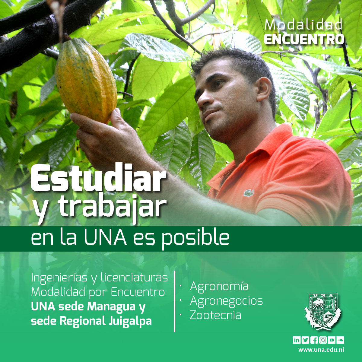UNAnicaragua's tweet photo. ¡En la #ModalidadPorEncuentro; nuestros estudiantes asisten a clases sábados y domingo, cada 15 días!🤩✍️
¡Estamos en período de #PreMatriculas2020!
✔. En Línea: 👉 https://t.co/nAh48h7n2g
✔. Requisitos de Ingreso: 👉 https://t.co/ne0BTciNcD
#ElegíUNA #ElegíLaAgraria https://t.co/H280UYZ1L9
