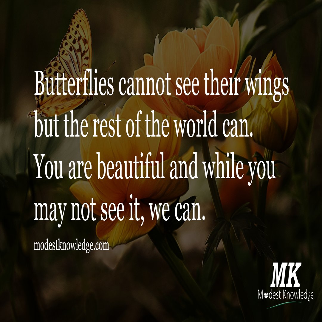 ModestKnowledge's tweet photo. You are beautiful.

#quoteoftheday #successquotes #knowledge #motivation #success #quotes #quote #inspired #inspirationalquotes #motivationalquotes #knowledgeispower #lessons https://t.co/az5iWuRQBS