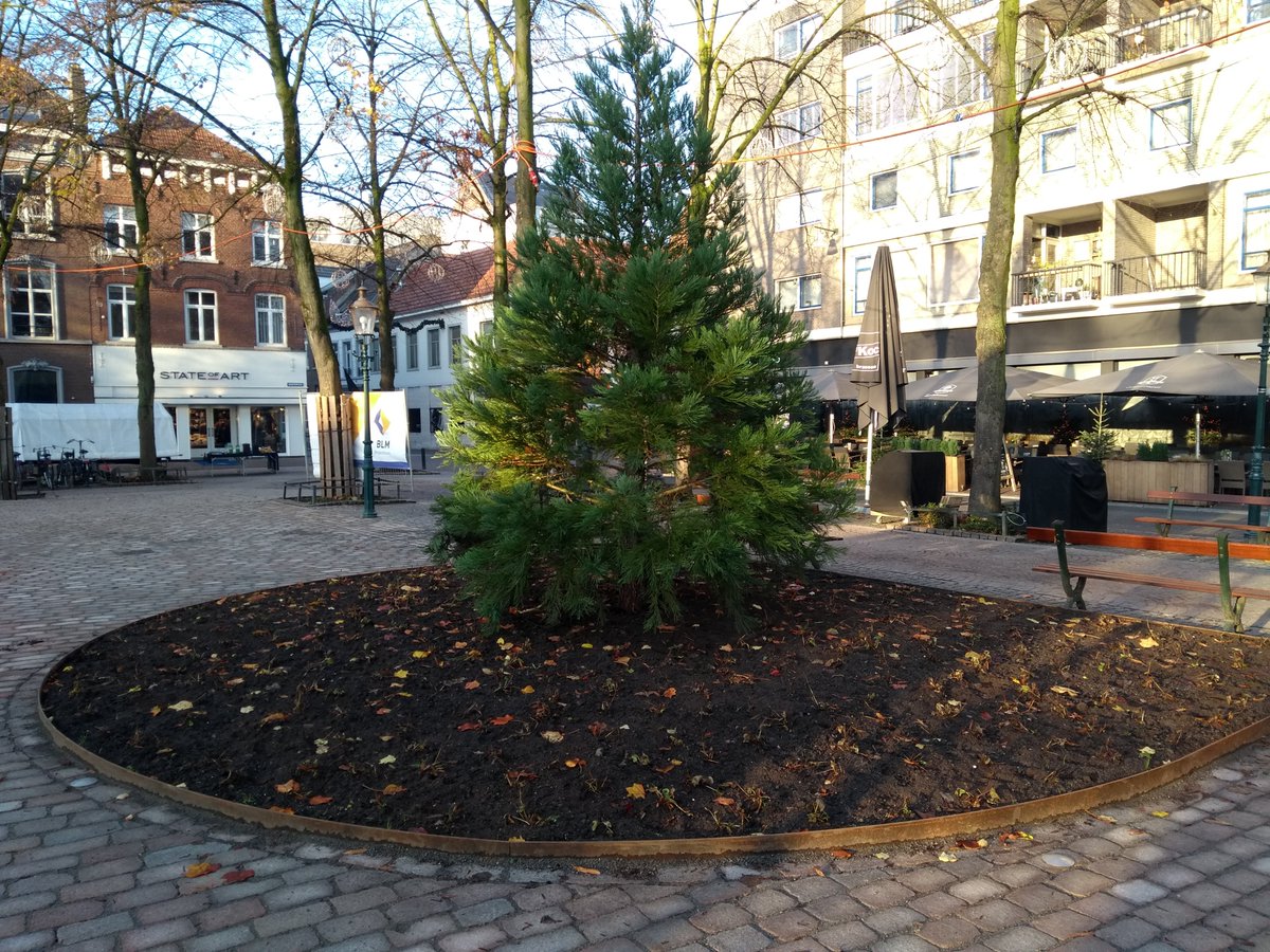 Onno Staal tweet media