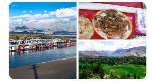 Sayaad Hashtag On Twitter