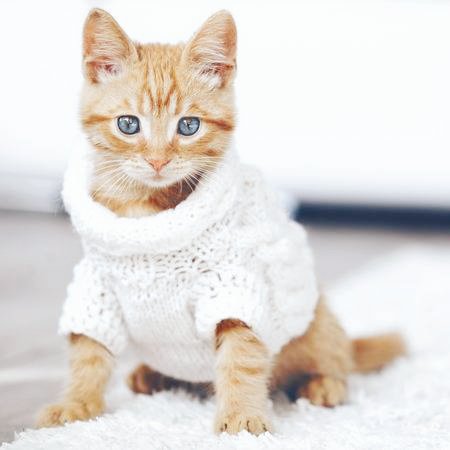 siwan_animals's tweet photo. https://t.co/2PApxps8gs