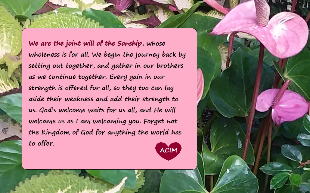 suzyinsb's tweet image. You cannot behold the world and know God. Only one is true.(#ACIM)🌹🌹🌹

#ACourseInMiracles #NotTwo #Oneness #NonDuality #Awakening #Wholeness