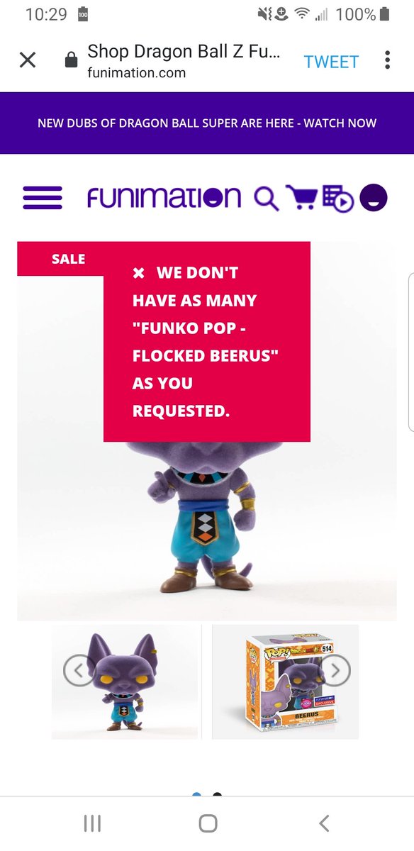 flocked beerus restock