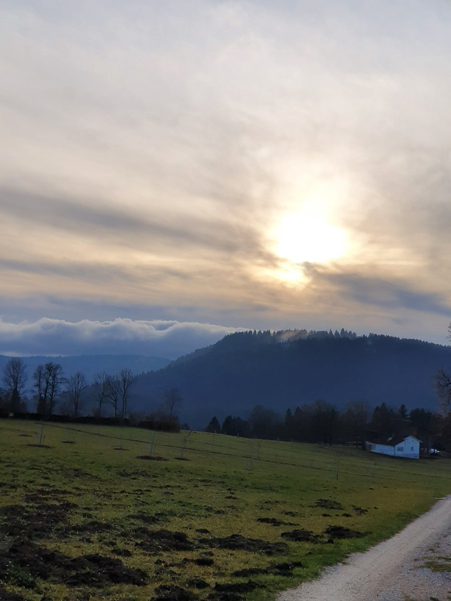 waldhase5's tweet image. Guten Abend ihr Lieben ❤
Die Sonne hatte sich doch noch gezeigt und wo es offen wahr sah ich das der Schnee wieder tiefer liegt. Also wird er woll kommen. Wünsche euch einen wunderschönen Abend mit einer friedlichen Nachtruhe 
❤🍷🌛🍺🌜🍸🌟🥂🌜❤