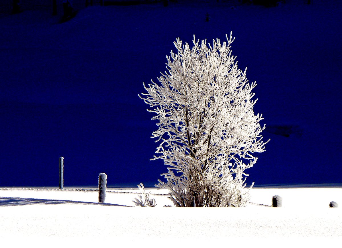 Wat zijn de bergen in tirol toch mooi in de winter....

#tirol #bergen #wintersport

tirolinfo.nl