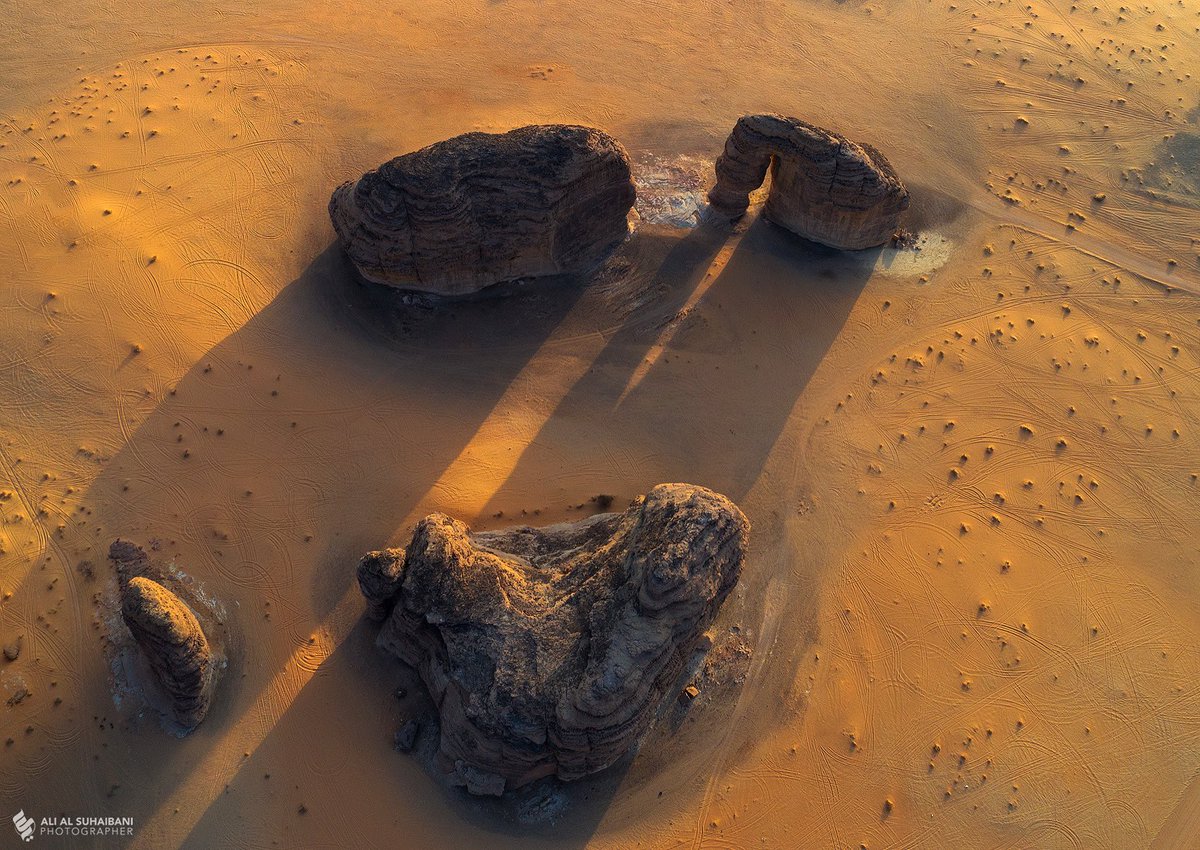 علي السحيباني tweet media