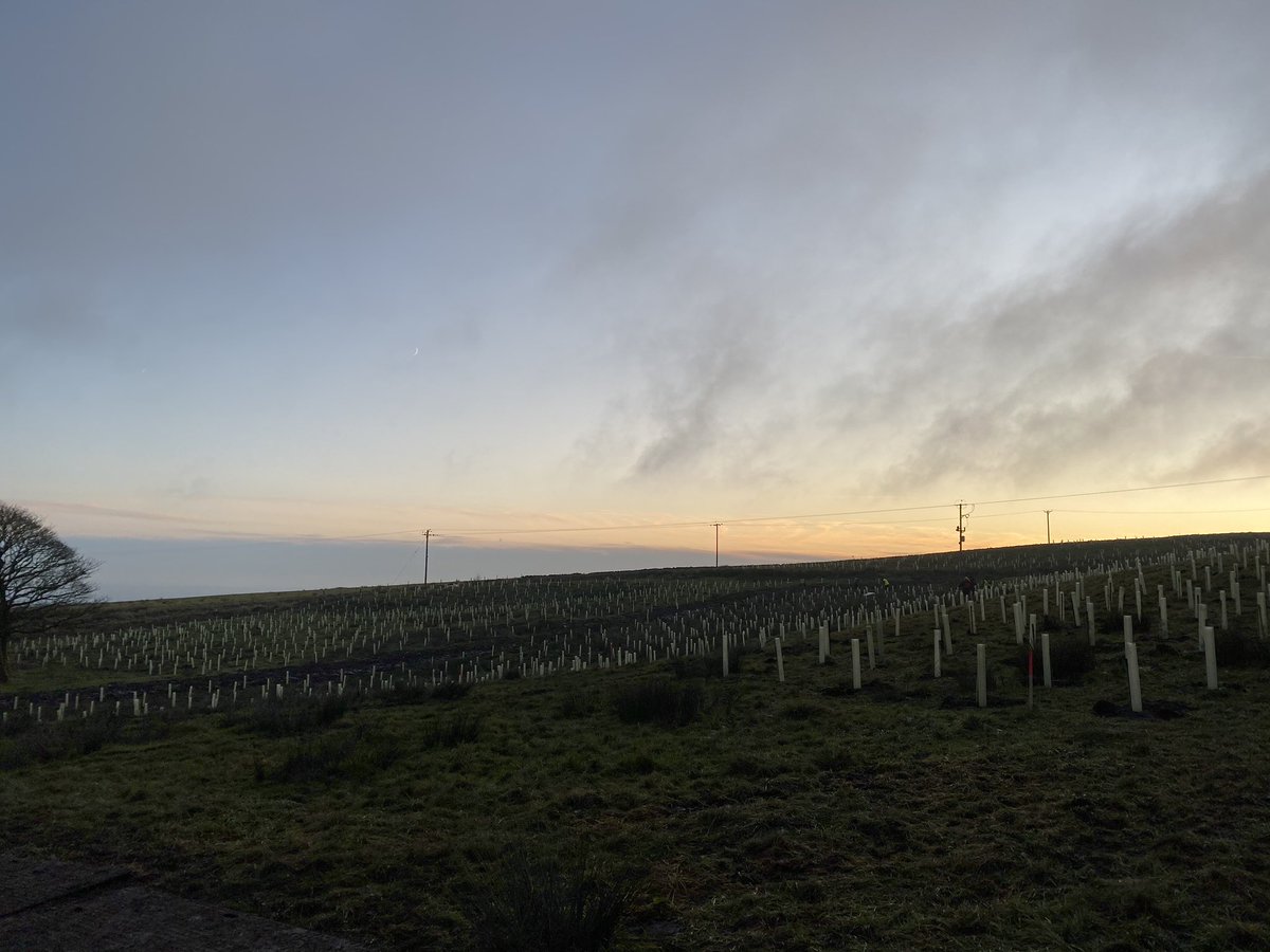Sun setting on a successful day of planting at #SmithillsEstate! 2500 trees in the ground thanks to the lovely people of #Bolton. #EveryTreeCounts #BigClimateFightback @WoodlandTrust