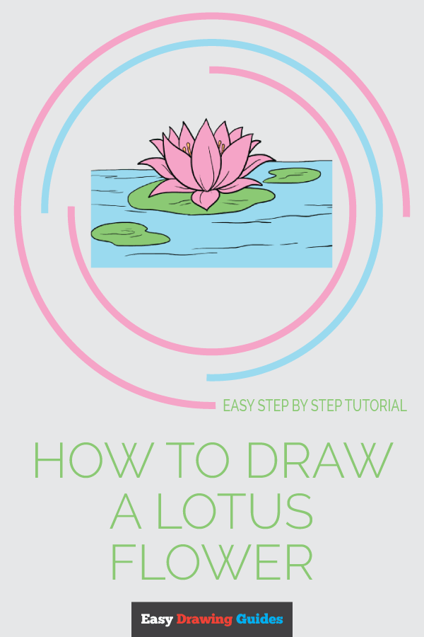 How To Draw A Lotus Flower