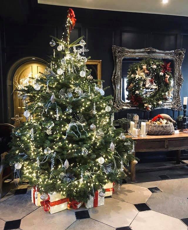Ta-dah!

#ChristmasTree #Christmas #IOW #Sparkling