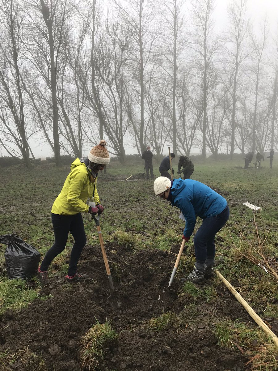 Hey all in Save Dore Totley Bradway Trees and @SAVEDORETREES we have planted a field maple for you as a Tree Charter branch and as part of #NationalTreeWeek #EveryTreeCounts up at Stannington. Lots of #TreeCharter groups represented here.