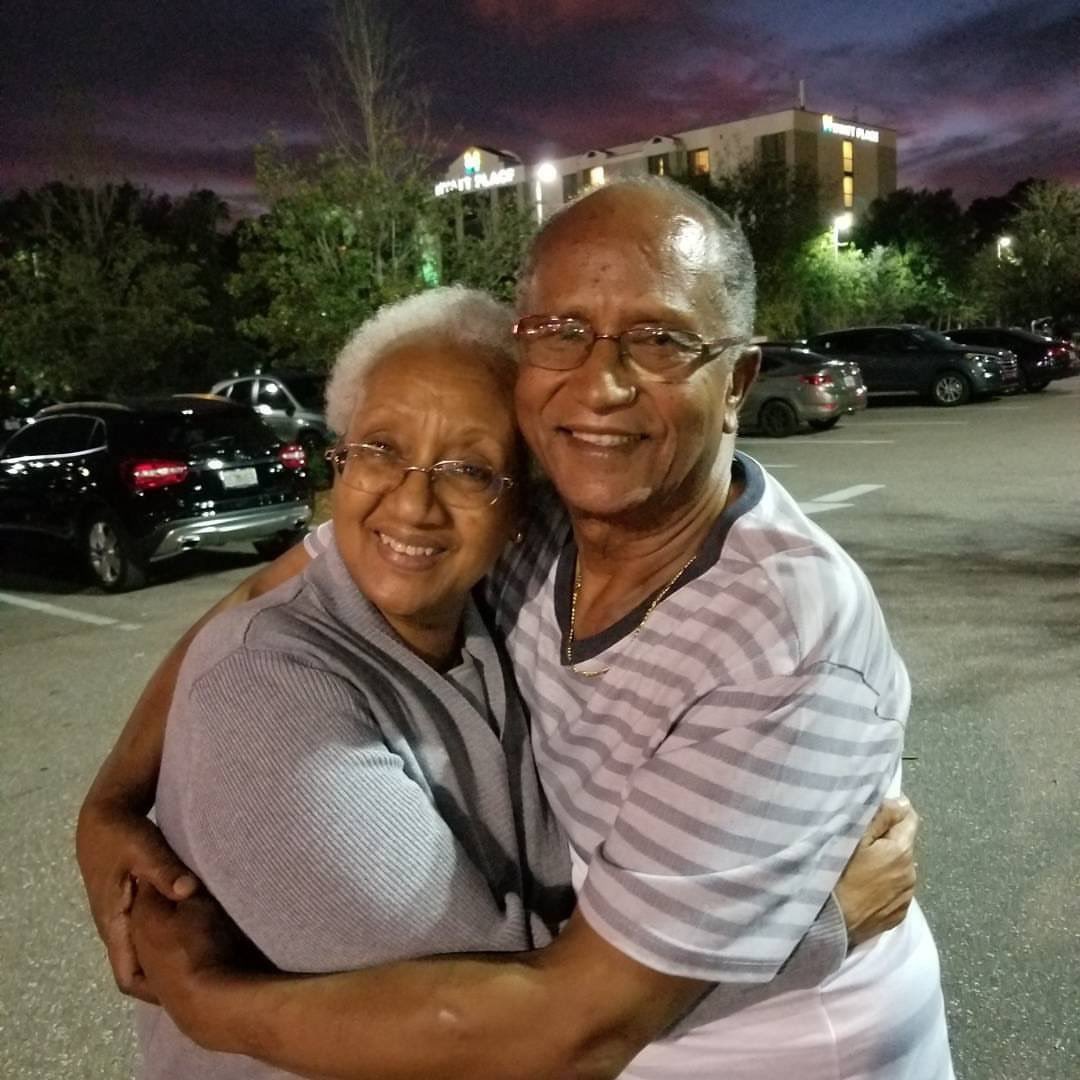 Honey Bee tweet media