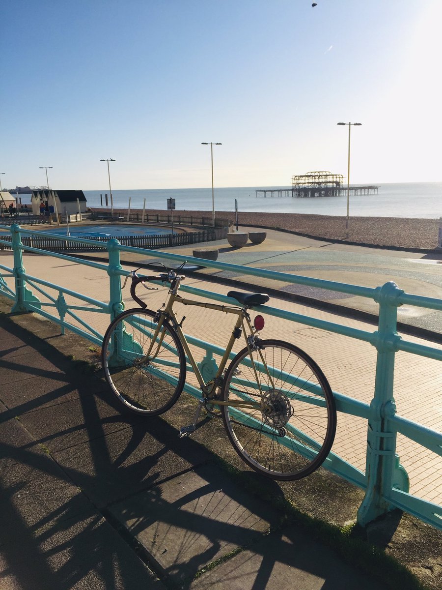 the best bike shop