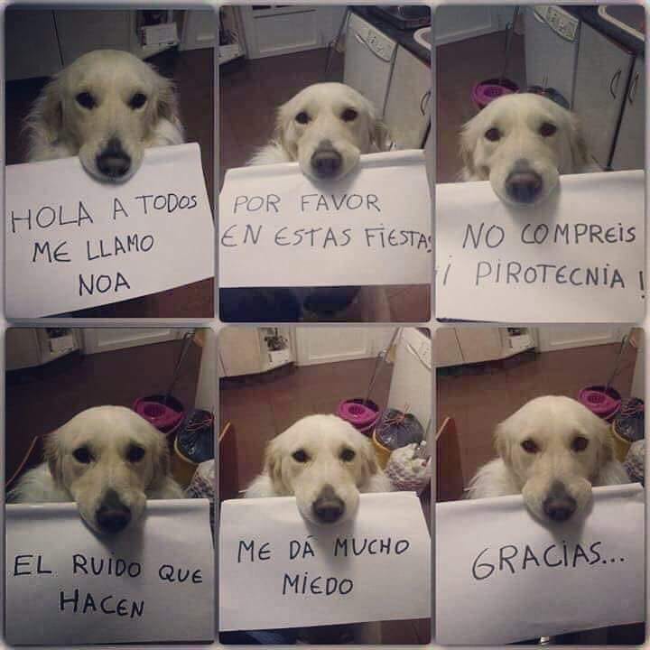 JENFXXI's tweet photo. No a la mal llamada alborada, no es una costumbre paisa. #noalaalborada #NoAlborada https://t.co/RcyBxhvQxy