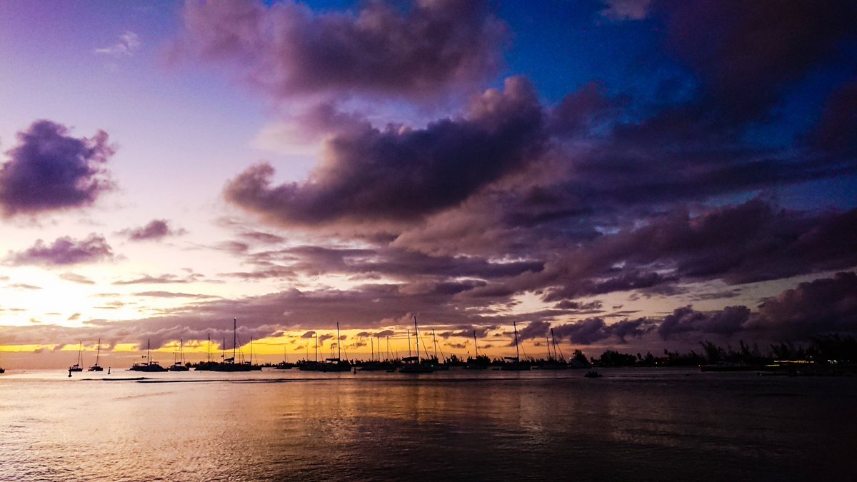 BritishVirginIs's tweet photo. When there are sunsets as beautiful as these...you just have to picture it. 📸 

#bvi #britishvirginislands #natureslittlesecrets #bvisunsets #goldenskies #purpleskies #anegada #islandlife #bviparadise #youshouldvacationhere #vacationinthebvi #caribbeantravel #travel #ONEBVI https://t.co/UlKYgXHH4T