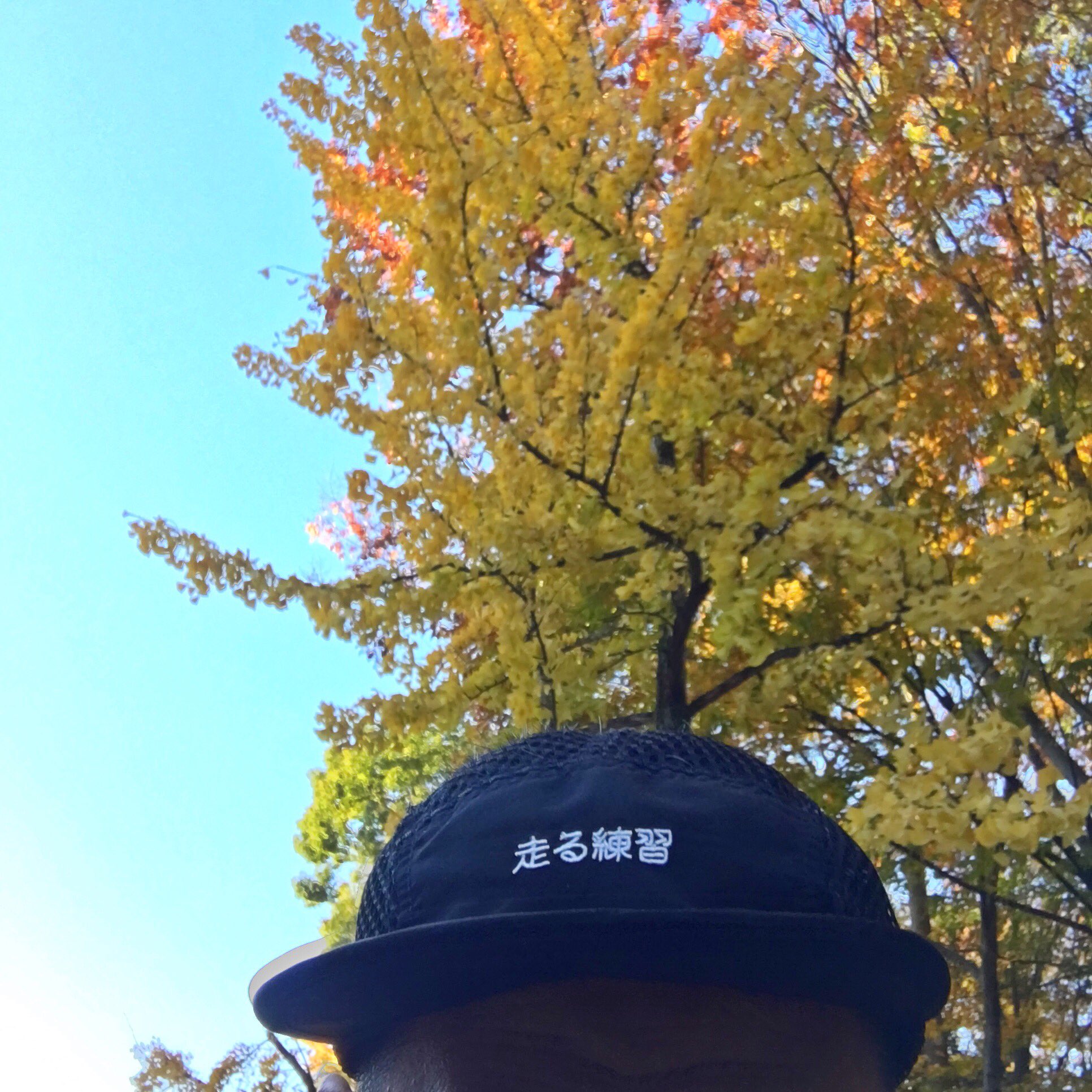 走る練習 Twitter Search Twitter