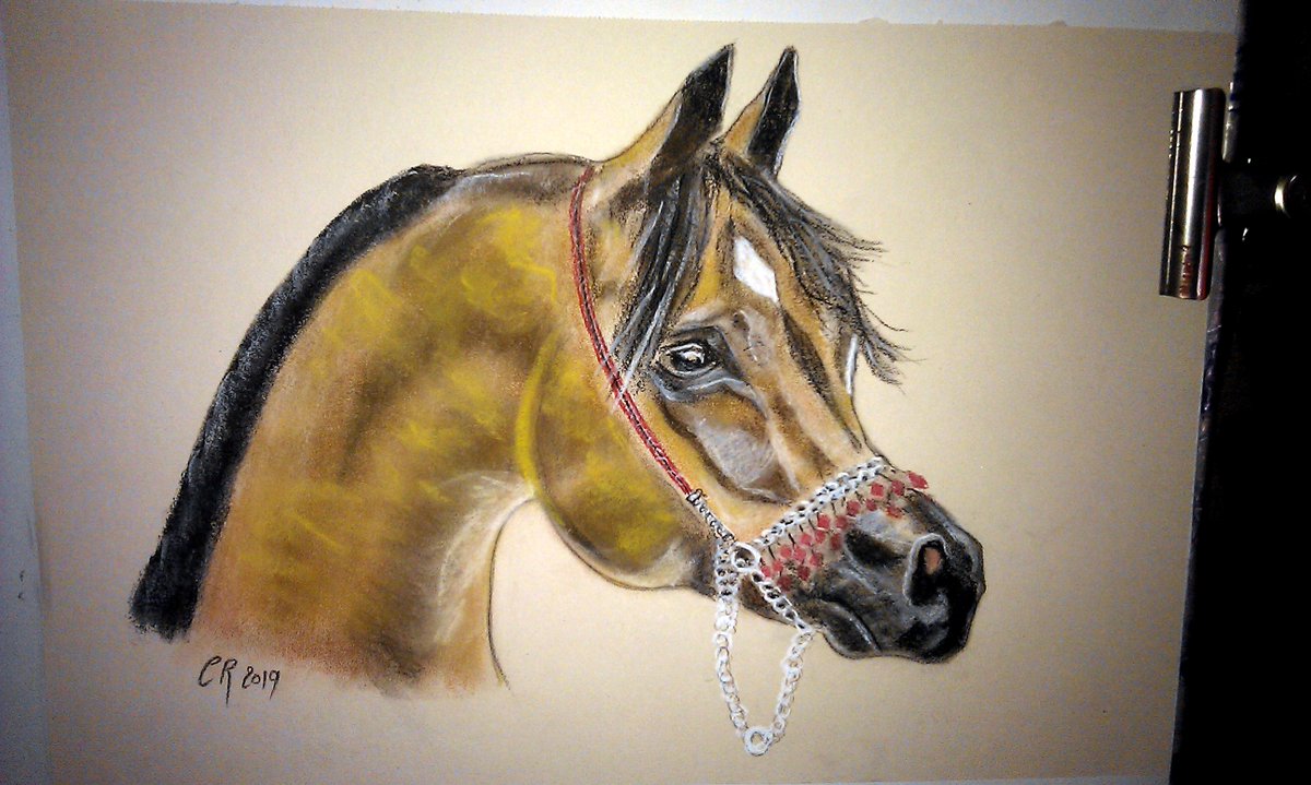 Fantou16 At Fantou16 Twitter