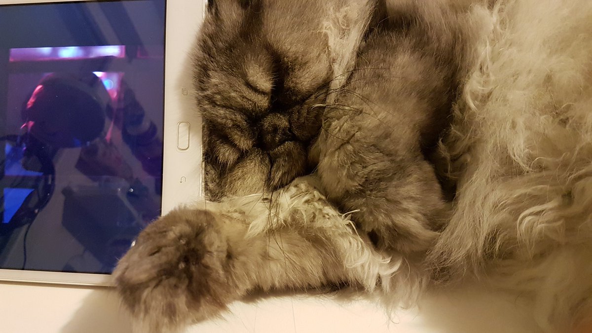 postichon's tweet image. A chaque fois Moman elle rogarde une tabetteserie je met ma tête coume ca ! C'est drôle je trouve mais c'est fort desfois !