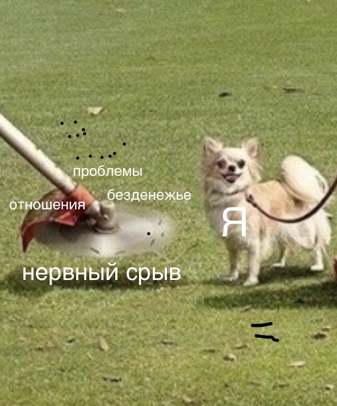 бунтарь. блять (@chocoliars) on Twitter photo 