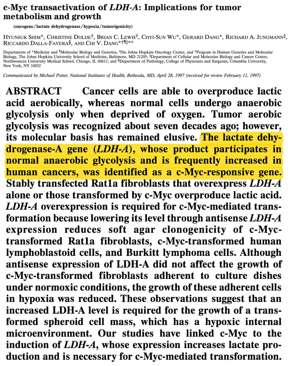 4/An alternative explanation: cancer overexpresses (i.e., makes more) LDH.This overexpression has been demonstrated, with control by both c-myc and hypoxia-inducible factor 1 (HIF-1). https://www.ncbi.nlm.nih.gov/pubmed/9192621 