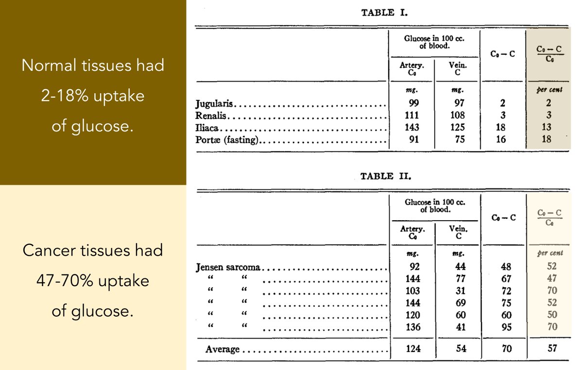 7/Warburg also demonstrated that glucose update is 47-70% in tumor cells versus 2-18% in non-tumor cells.And: tumor cells convert 66% of glucose to lactate. https://www.ncbi.nlm.nih.gov/pubmed/19872213 