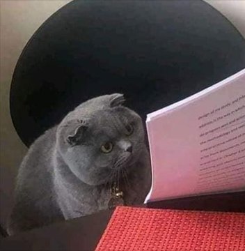 Посмотреть изображение в Твиттере